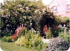 Newhouse Farm Bed & Breakfast: the garden